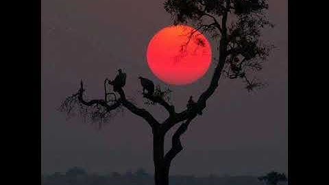 اواخر سورة يوسف