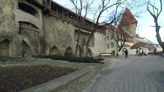 Magusch in Tallin видео Музей-гидроаэропорт «Леннусадам»