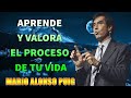 APRENDE Y VALORA EL PROCESO DE TU VIDA - MARIO ALNSO PUIG