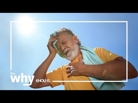 Videó: A meleg időjárás emeli a vérnyomást?