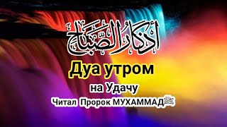 ✔️Дуа утром на Удачу. Читал  Пророк МУХАММАДﷺ  اذکار الصباح(5) Quran Secrets )