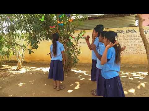 BUTTERFLY Rhyme--Butterfly butterfly...by SREENIVASULU BIKKI,Kalyandurg(M),Anantapur(D),A.P.