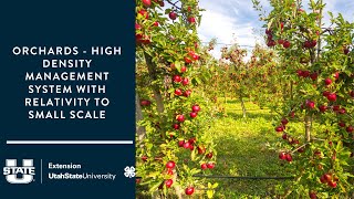 Orchards - High Density Management System with Relativity to Small Scale