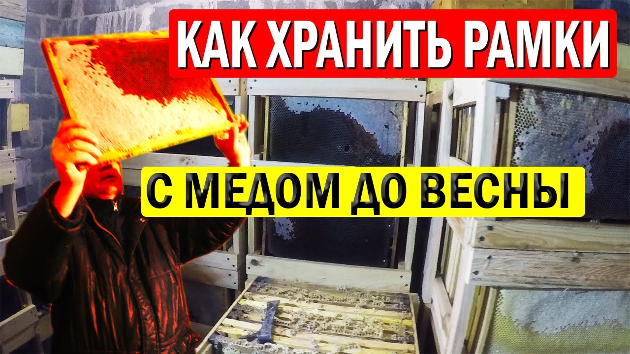 Хранение рамок с медом до весны. Как ПРАВИЛЬНО хранить рамки с мёдом?