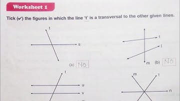 Dav Class 6 Math Chapter 11 Worksheet 1 || Transversal And Pairs Of Lines || @madhubanclasses