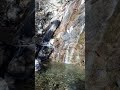 26785 26785