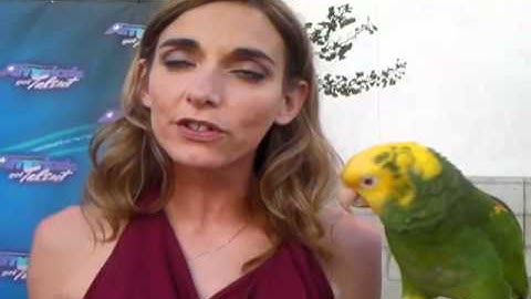 Echo The Parrot - "AGT" Exit Interview - July 14, 2011