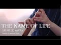 SPIRITED AWAY / The Name of Life / One Summer&#39;s Day / Native American Flute Cover