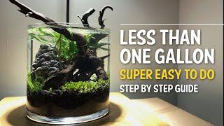 How To Make a Planted Vase Aquarium | Simple Aquarium Plants | Step By Step Guide