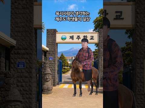 몇개는 사실입니다 thumbnail