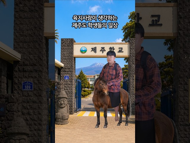몇개는 사실입니다