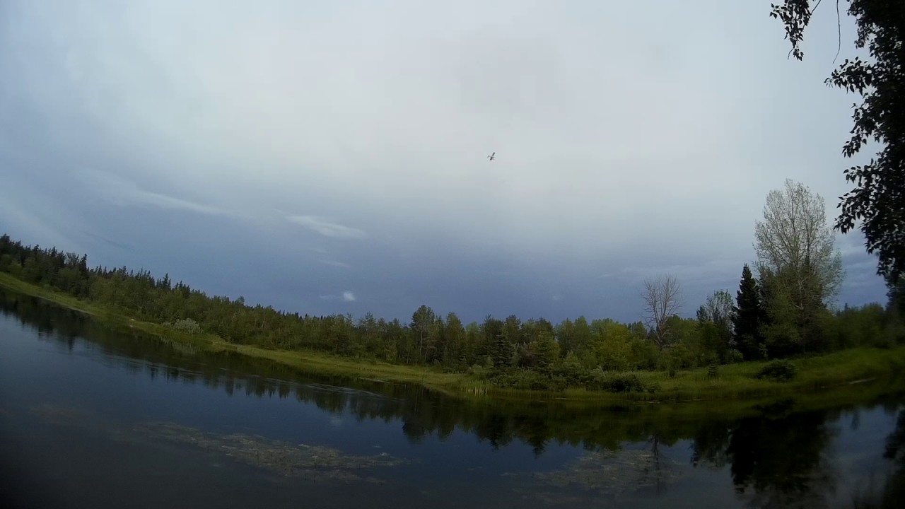 Sport Cub S2 First Flight From The Water YouTube