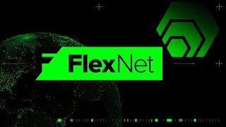 could this one simple trick unlock a 10,000X HEX bull run?