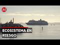 Protestas masivas en Baja California Sur por puerto de altura en Loreto