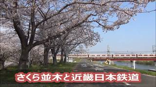【近畿日本鉄道】さくら並木と近鉄南大阪線