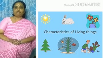 SCTS | 3rd Class | Science | Things around us