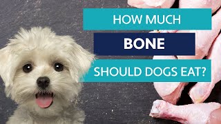 How Much Bone Do Raw-Fed Dogs Need?