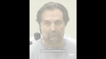 ‘Dumbest criminal ever’ Brian Walshe’s incriminating google searches revealed