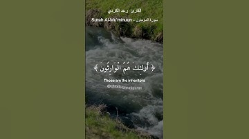 القارئ رعد الكردي💕 والذين هم على صلواتهم يحافظون {9} 🤲 سورة المؤمنون - Surah Al-Mu'minuun