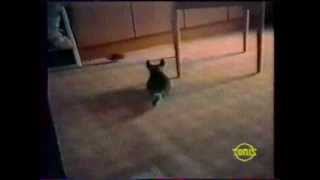Chinchillaman Catman Vs Megamouse