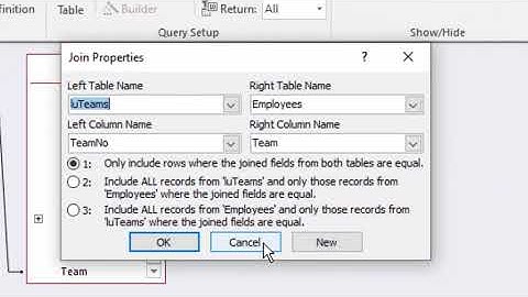 Microsoft Access A to Z: Finding orphan records using join properties