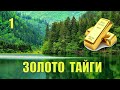 ПОЛУЧИЛ НАСЛЕДСТВО - СТАЛ МИЛЛИОНЕРОМ ОТНОШЕНИЯ В СЕМЬЕ РАЗВОД СЛУЧАЙ в ТАЙГЕ СУДЬБА СЕРИАЛ 1