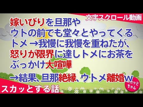 【スカッとする話】嫁いびりを旦那やウトの前でも堂々とやってくるある意味漢らしいトメ。我慢に我慢を重ねたが、怒りが限界に達しトメにお茶をぶっかけ大喧嘩→結果、旦那絶縁、ウトメ離婚w【スカッとちゃん】