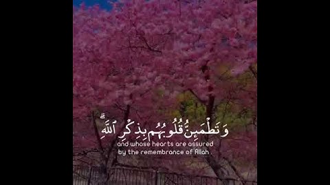 تلاوة هادئة تريح الأعصاب 😴🎧 | القاريء عبدالرحمن مسعد - سورة الرعد 🤍🌥️."