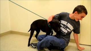 Adopt Iggy From Animal Friends