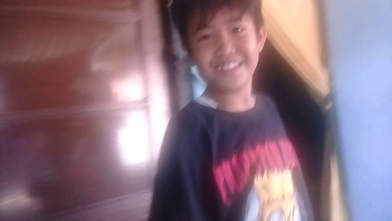Musang pandan 