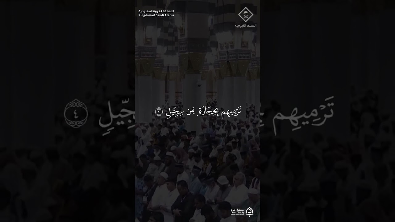 مقتطف من تلاوة فضيلة الشيخ #عبدالمحسن_القاسم من صلاة المغرب 18 ذو القعدة 1447هـ #المسجد_النبوي