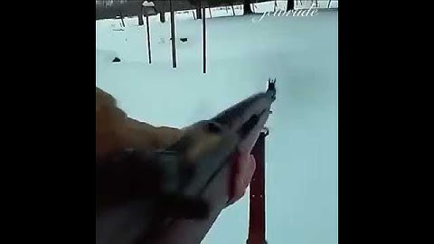 M1 Garand Ping Compilation