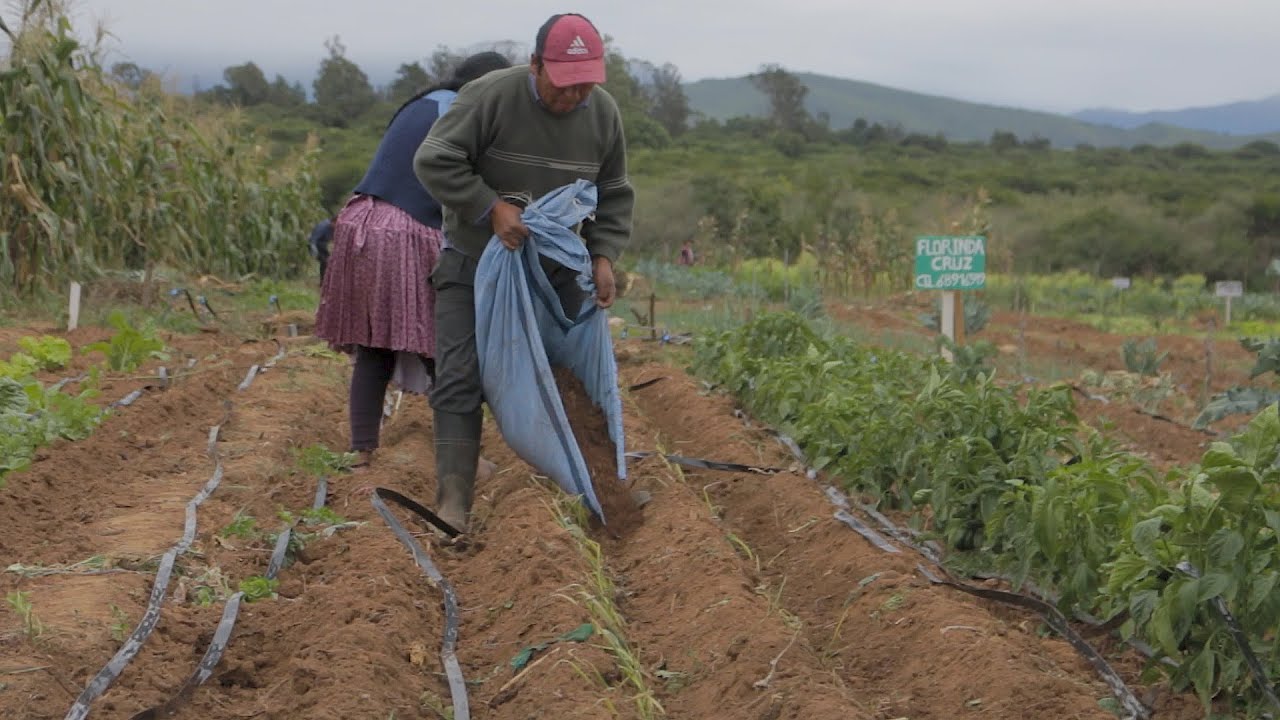 Agricultura Orgánica