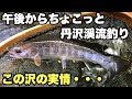 午後からちょこっと丹沢渓流釣り　この沢の実情