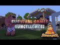 Survival Games Güncellemesi - SonOyuncu