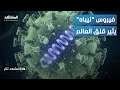 الثعالب الطائرة تفاصيل صادمة عن فيروس نيباه القاتل وتحرك عاجل في مطارات بآسيا المشهد تاغ 