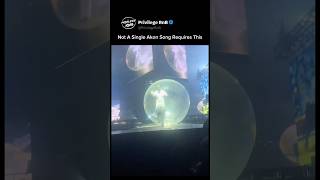 Not A Single Akon Song Requires This