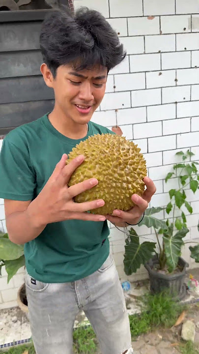 Download lagu Makan buah asem