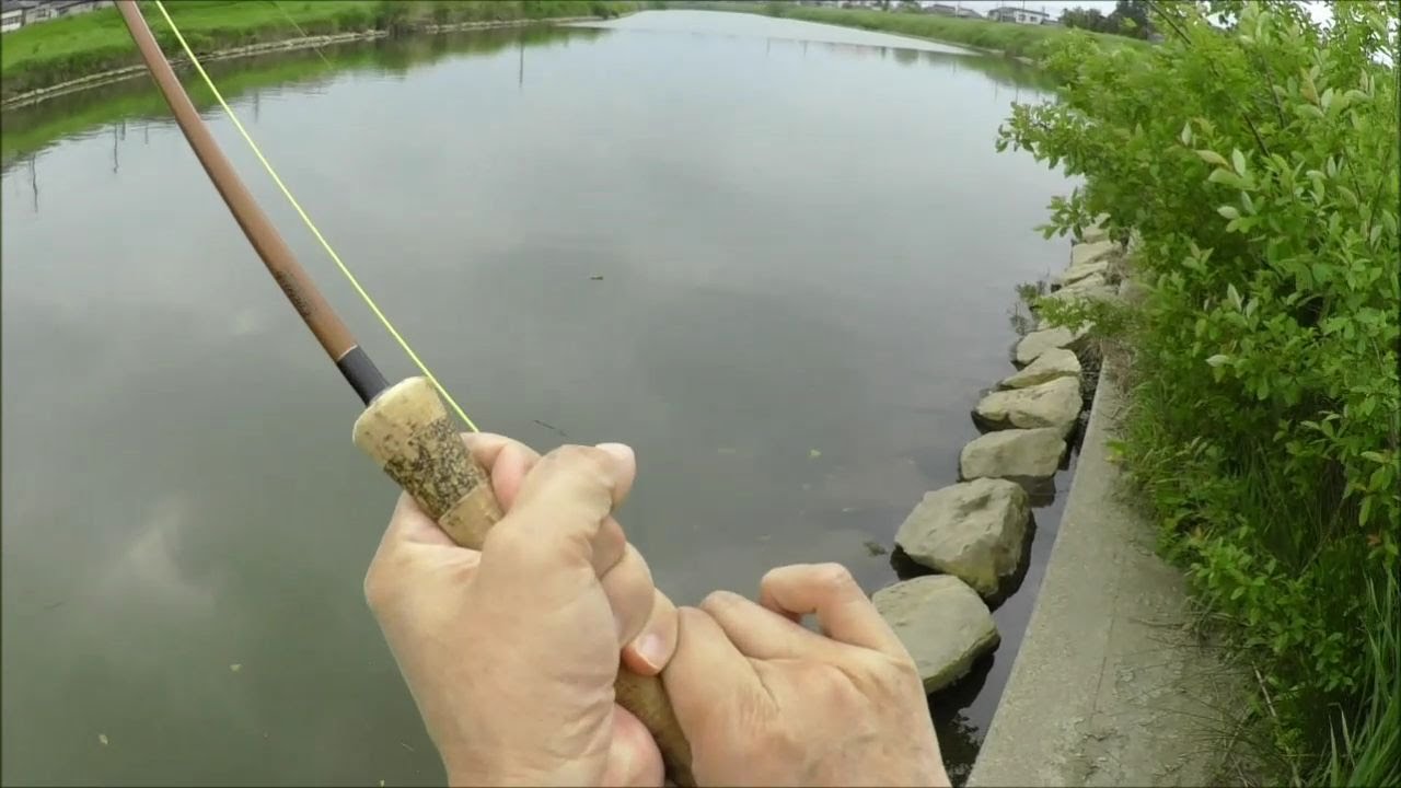 埼玉で大物 ゲテモノ フライフィシング 釣行記 動画 埼玉