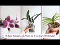 What kind of pots to use for orchids  clay clear slotted a beginners guide
