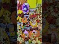 পঞ্চম দোল উপলক্ষে মহাপ্রভুর মধ্যাহ্নের ভোগ দর্শন করুন 🪷🌼🪷