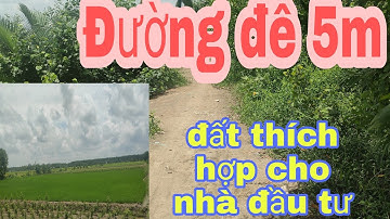 Bán đất lúa toạ lạc tại ấp 5 xã An Thạnh - Bến lức - Long An