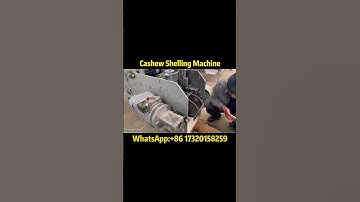 Automatic Cashew Nut Shelling Machine | High Efficiency & Precision#cashewnuts #peeling