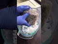 トルコ発のユニークな牛肉料理