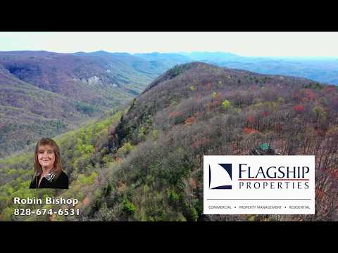 216 Conifer Falls RD, Caesars Head Cleveland, SC home video tour