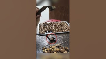 Người đàn ông dùng búa và cờ lê để tách hạt macca #shorts