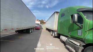 ¡IHMA Abastece de Frijol a Honduras para Garantizar la Seguridad Alimentaria! 🫘