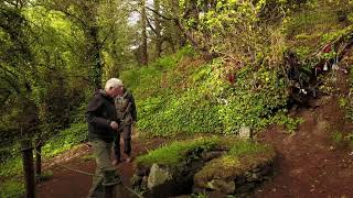 Kerry Camino