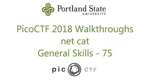 PicoCTF 2018 - net cat