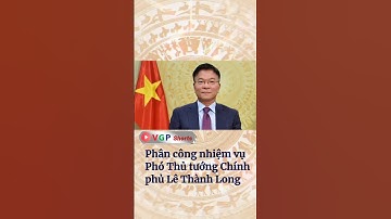 Phân công nhiệm vụ Phó Thủ tướng Chính phủ Lê Thành Long